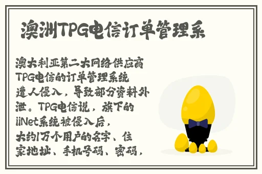 国内精品老年人视频网站