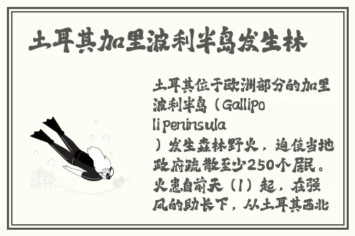 榴莲视频APP下载安装包